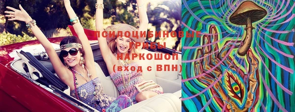 тгк Богданович