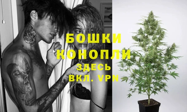 Альфа ПВП Богородск
