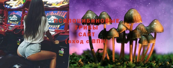 прущая мука Богородицк
