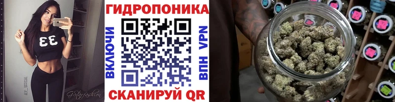Марихуана тримм  купить закладку  Верхний Уфалей 